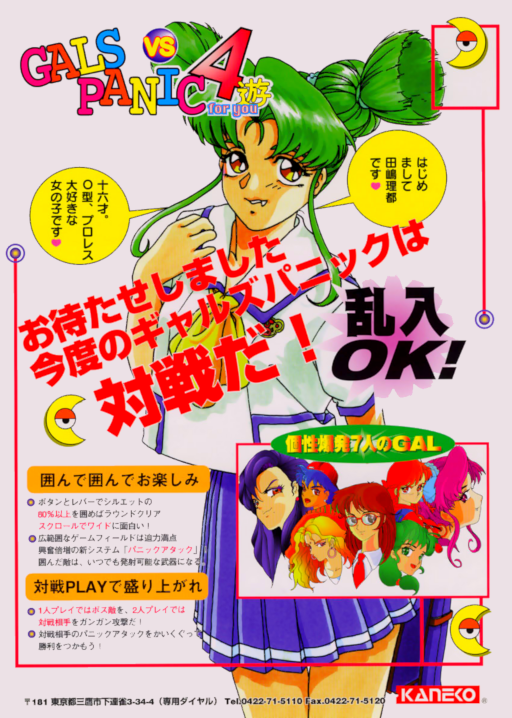 Gals Panic 4 (Japan) Arcade Game Cover